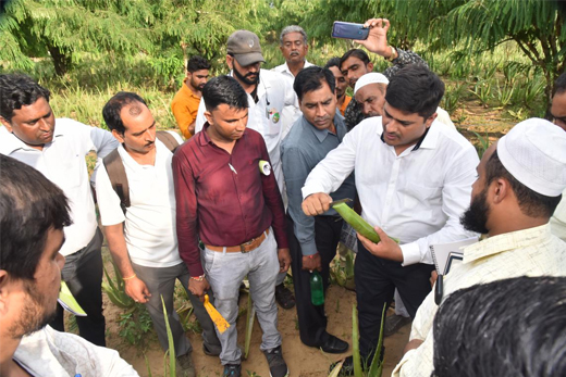 Agriculture's Role in India’s Economy