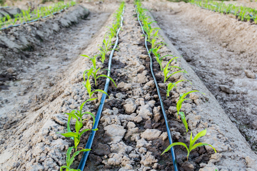 Irrigation Systems
