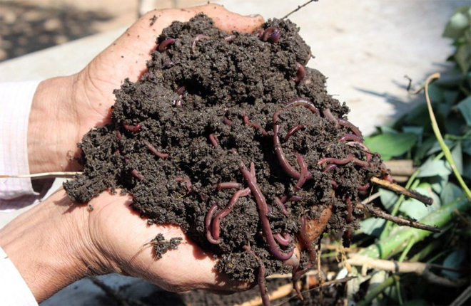 organic-manure-manufacturing-unit
