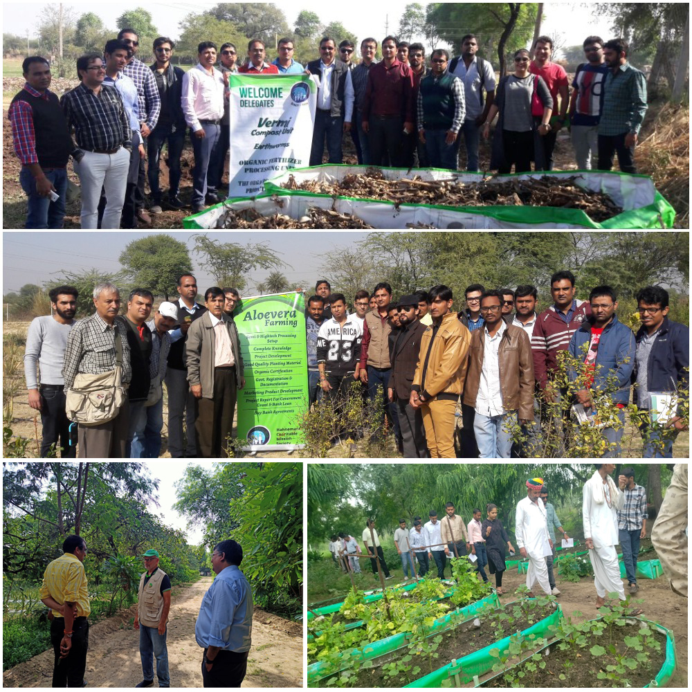 Organic Farming