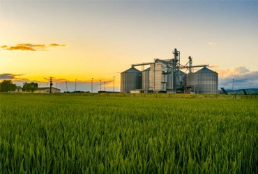 Agricultural Processing & Industrial Solutions