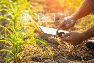 Farm Management & Agricultural Inputs
