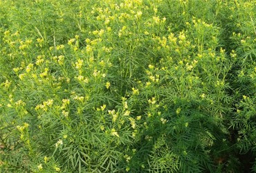 Blog Images