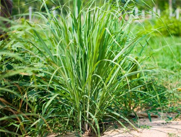 Blog Images