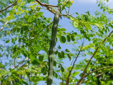 Blog Images