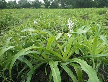 Blog Images