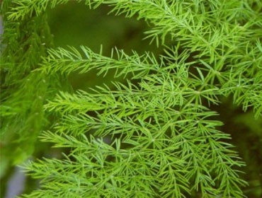 Blog Images
