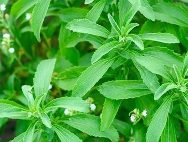 Blog Images