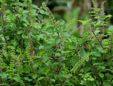 Blog Images